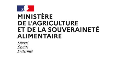 Logo MASA