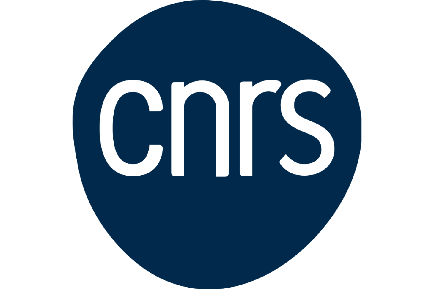 Logo CNRS