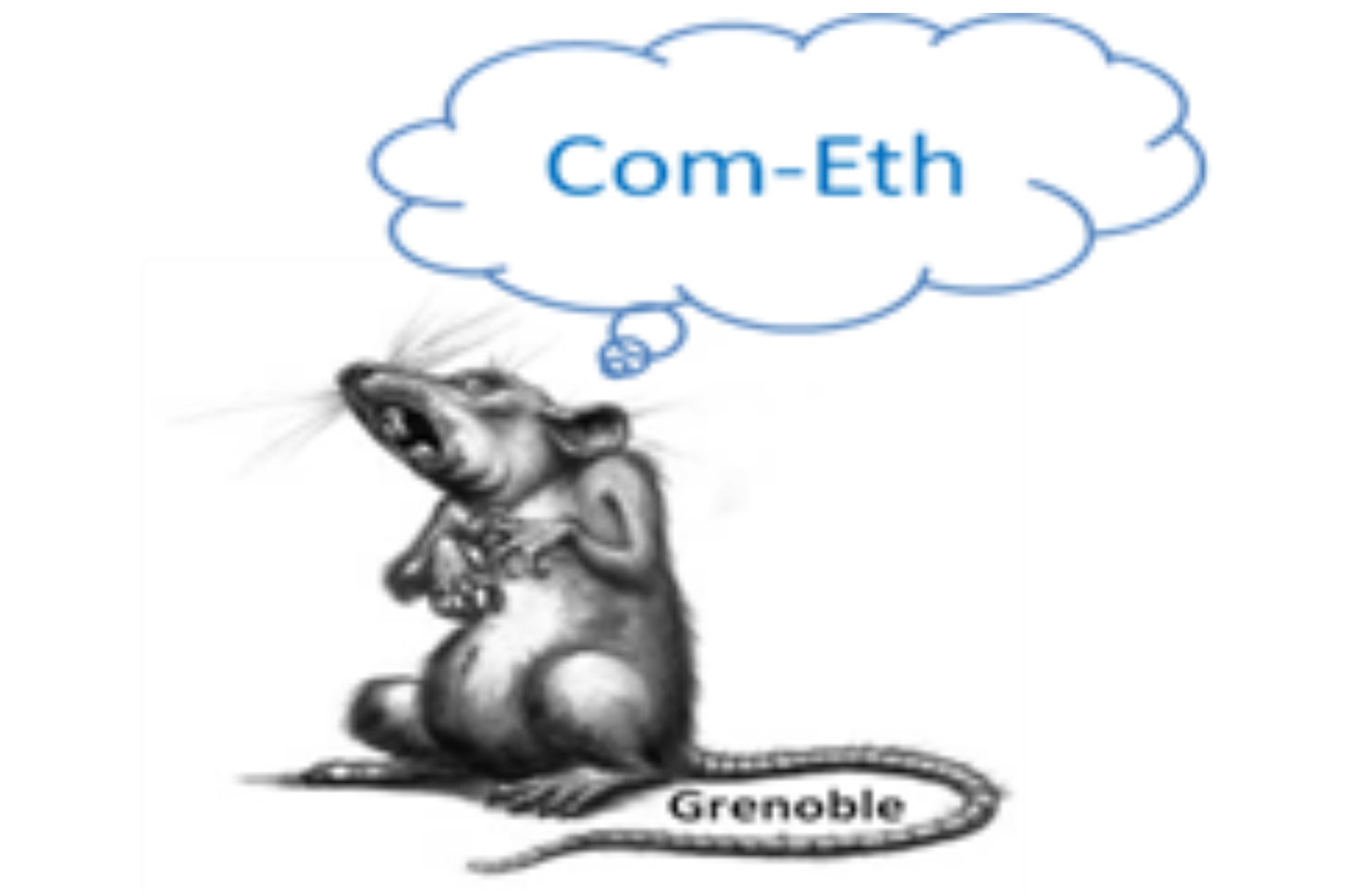 Logo du comité d'éthique n°12 - Cometh