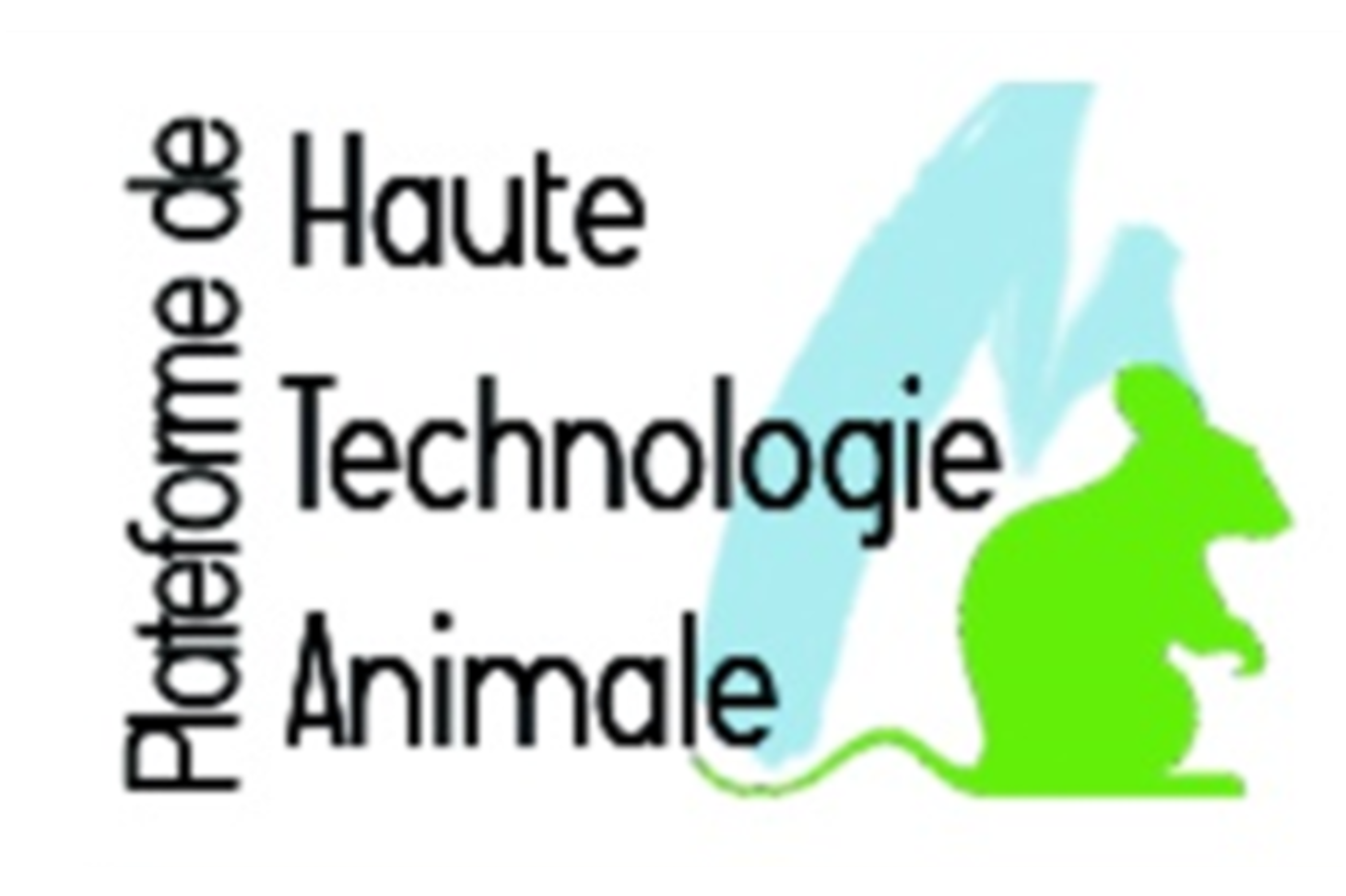 Logo PHTA