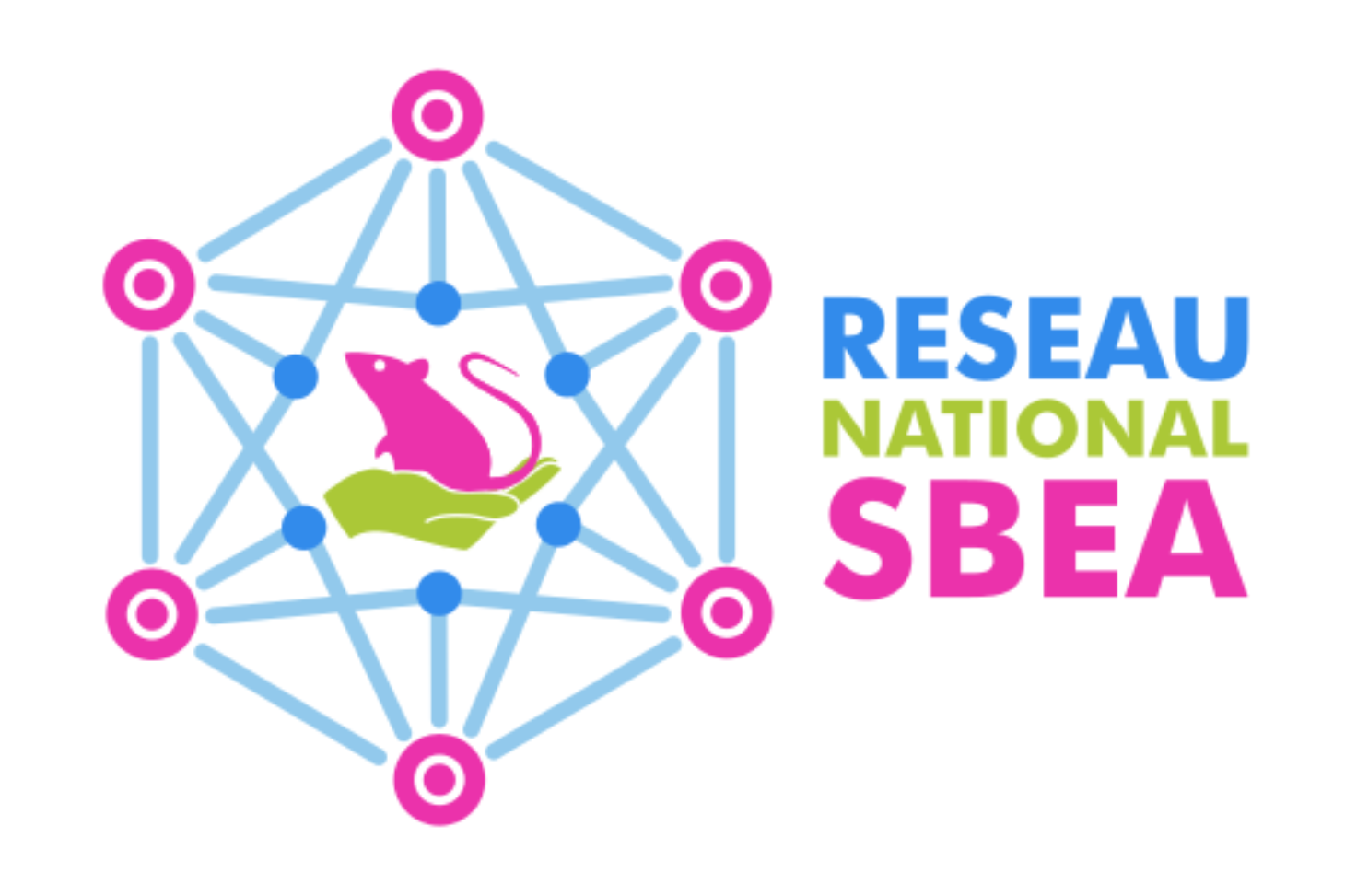 Logo RNSBEA