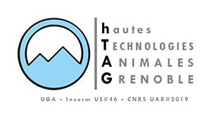 logo UAR hTAG