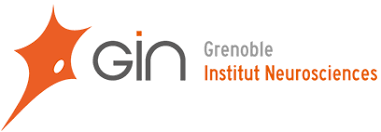 Logo du Grenoble Institut Neurosciences (GIN)