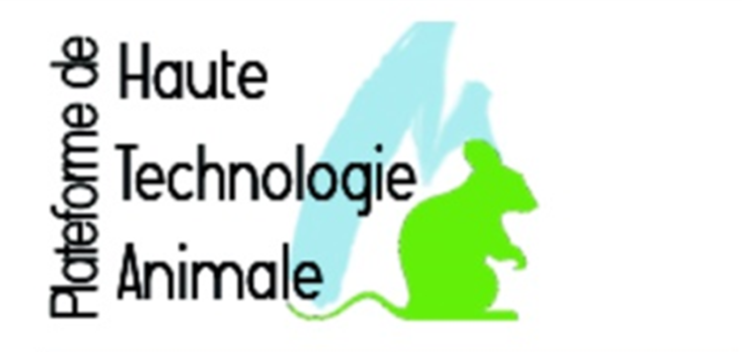 Logo PHTA